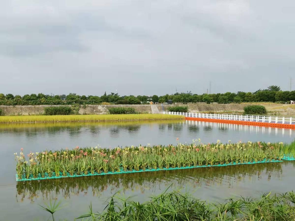 原种场最新交通动态报道