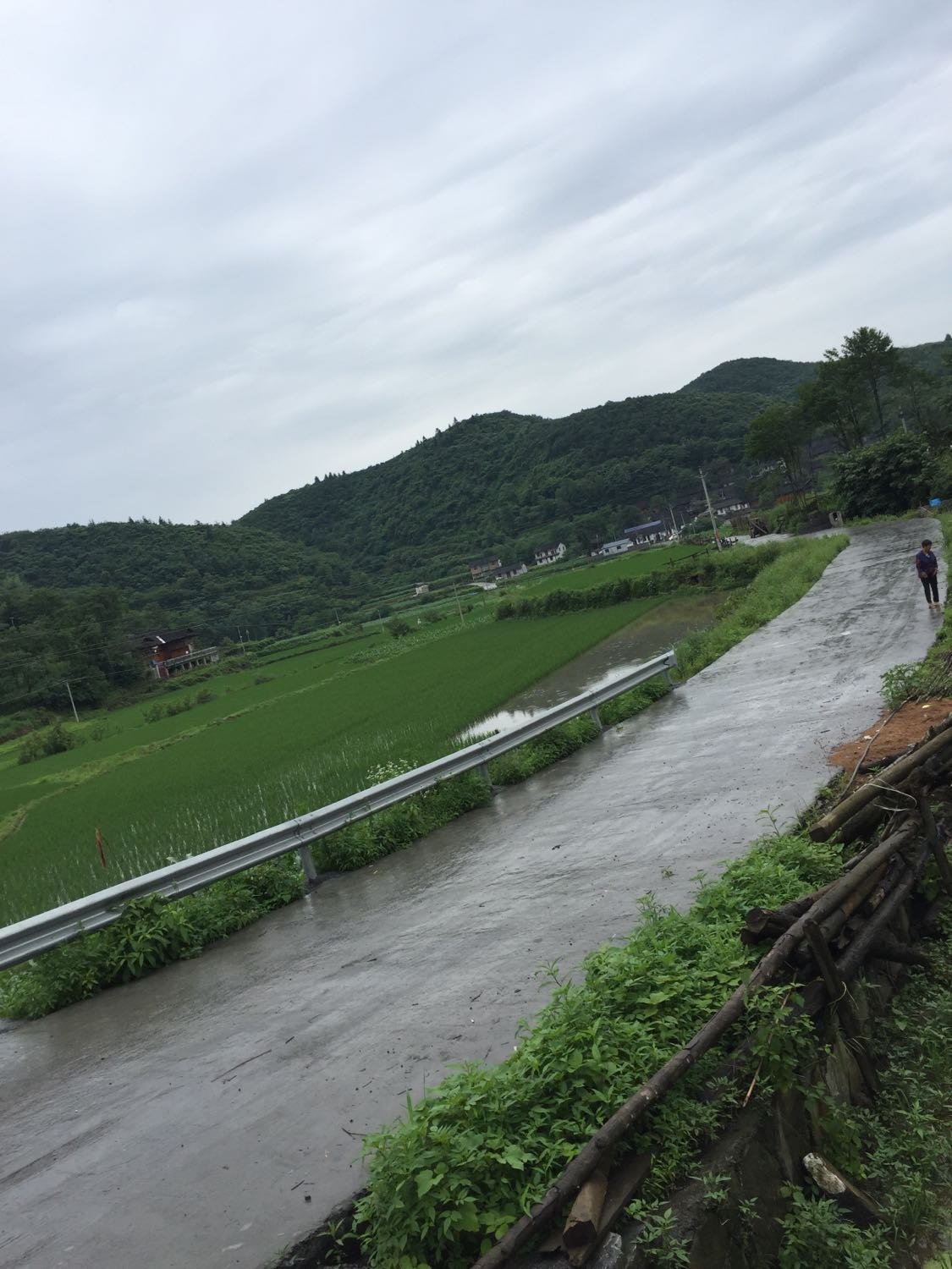 甘岩乡最新天气预报通知