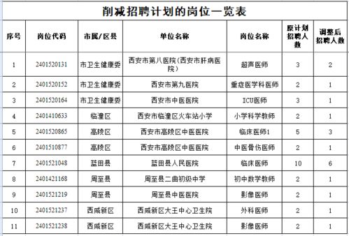 涟水县级托养福利事业单位发展规划展望