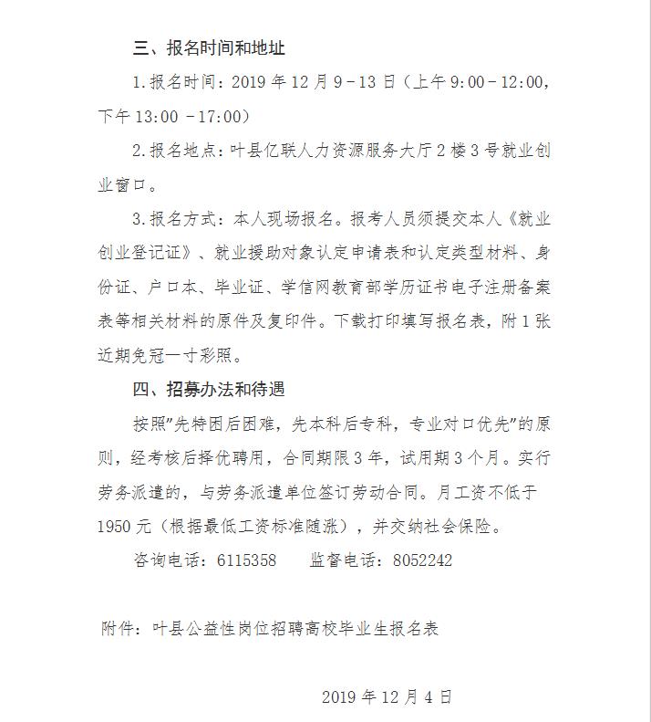 叶县统计局最新招聘详解公告