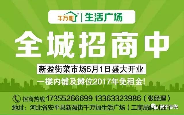 西丰县人力资源和社会保障局最新招聘概览