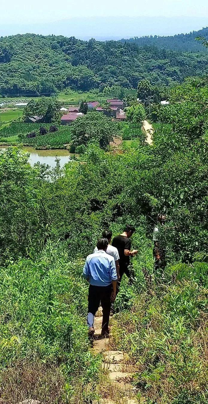 何湾村民委员会最新动态报道