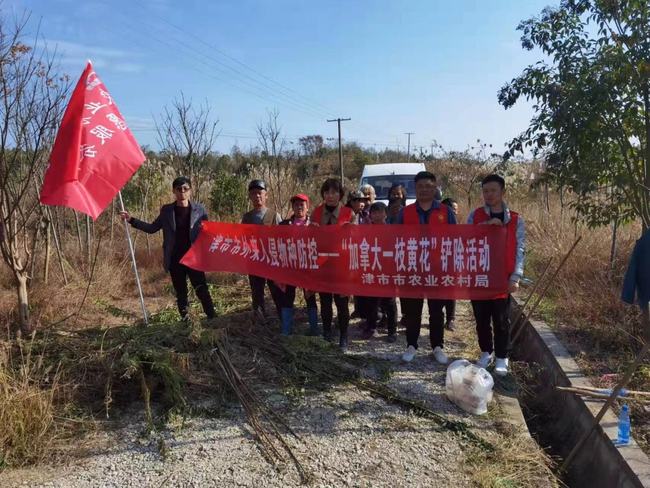 津市市农业农村局最新动态报道