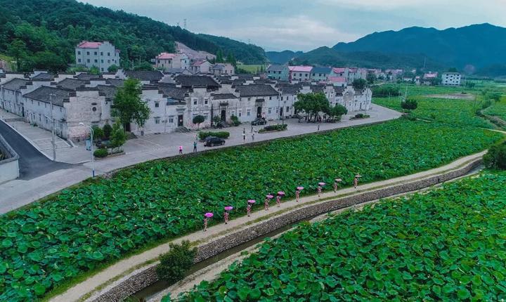 诸暨市住房和城乡建设局最新发展规划概览