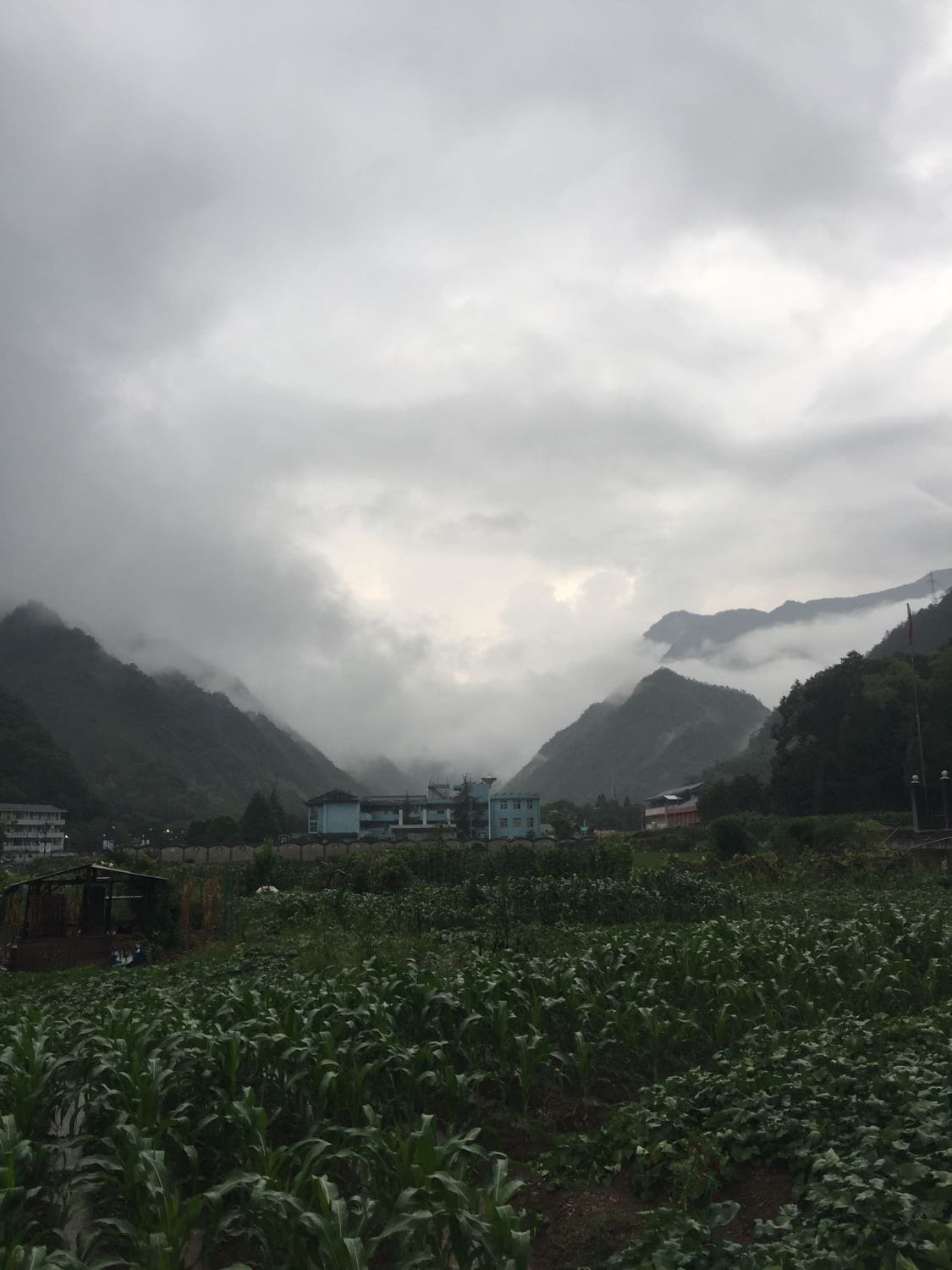 山东艺术压花地坪 第8页