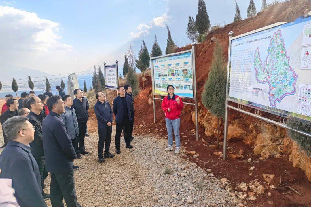 丽江市林业局绿色生态建设项目，未来展望与步伐坚定前行