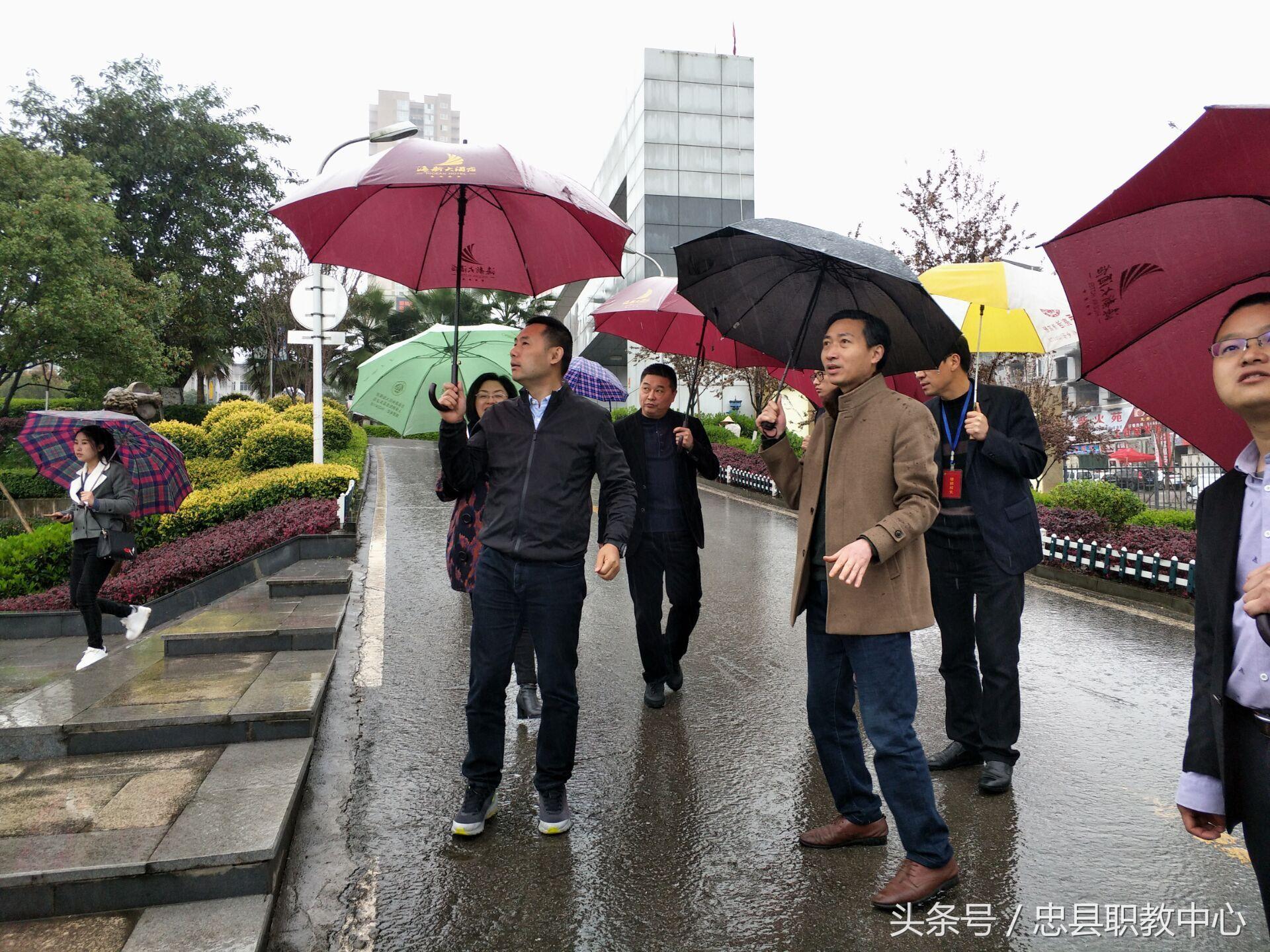 忠县教育局未来教育宏伟蓝图发展规划揭秘