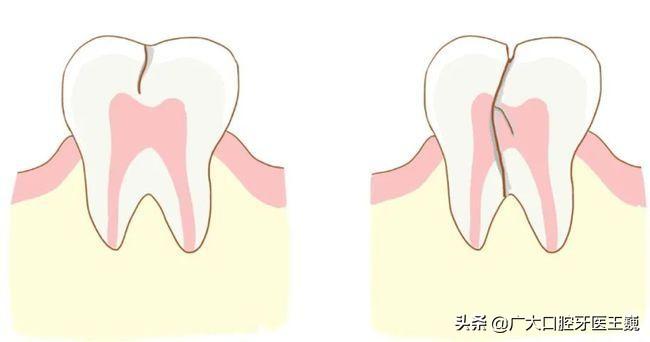 湘潭县特殊教育事业单位领导群体最新概览